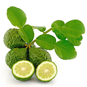 برگاموت